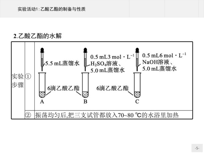 乙酸乙酯的水解反应