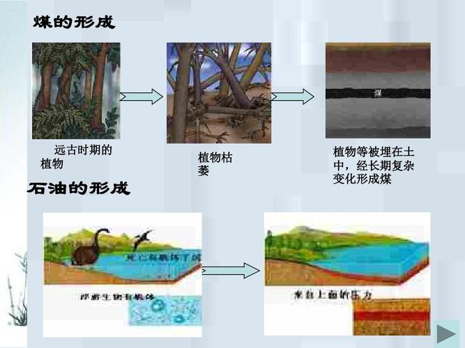 石油化工对土壤质量的影响概述