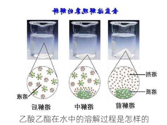 乙酸乙酯在水中的溶解过程是怎样的