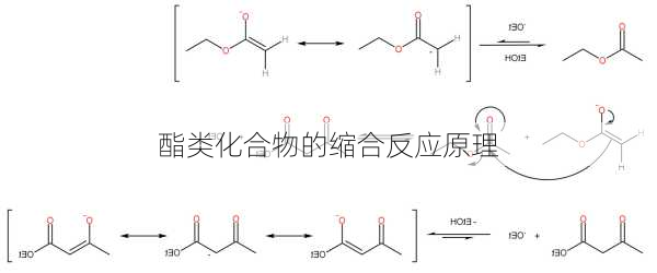 酯类化合物的缩合反应原理