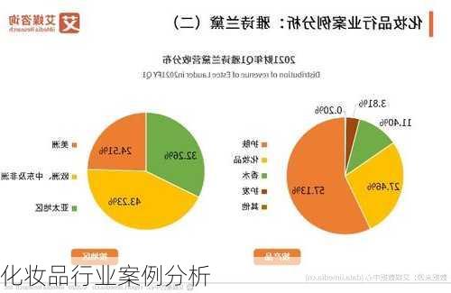 化妆品行业案例分析