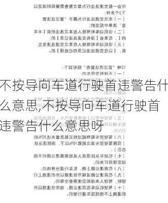 不按导向车道行驶首违警告什么意思,不按导向车道行驶首违警告什么意思呀