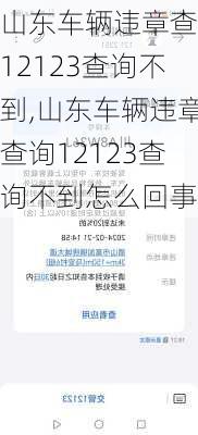 山东车辆违章查询12123查询不到,山东车辆违章查询12123查询不到怎么回事