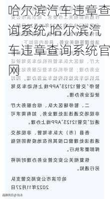 哈尔滨汽车违章查询系统,哈尔滨汽车违章查询系统官网