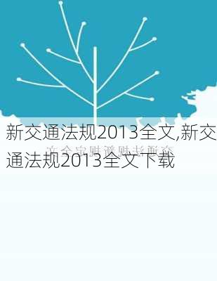 新交通法规2013全文,新交通法规2013全文下载