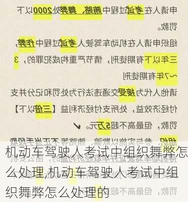 机动车驾驶人考试中组织舞弊怎么处理,机动车驾驶人考试中组织舞弊怎么处理的