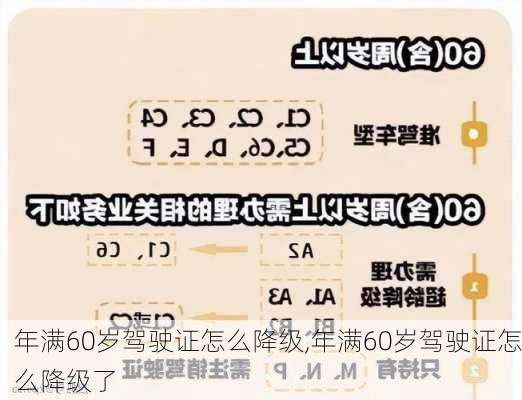 年满60岁驾驶证怎么降级,年满60岁驾驶证怎么降级了