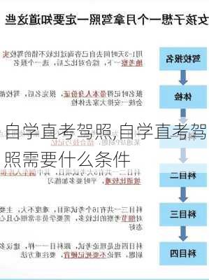 自学直考驾照,自学直考驾照需要什么条件