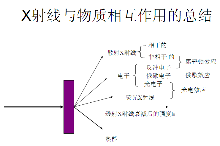 乙酸乙酯与其他物质的相互作用