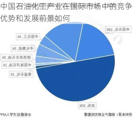 中国石油化工产业在国际市场中的竞争优势和发展前景如何