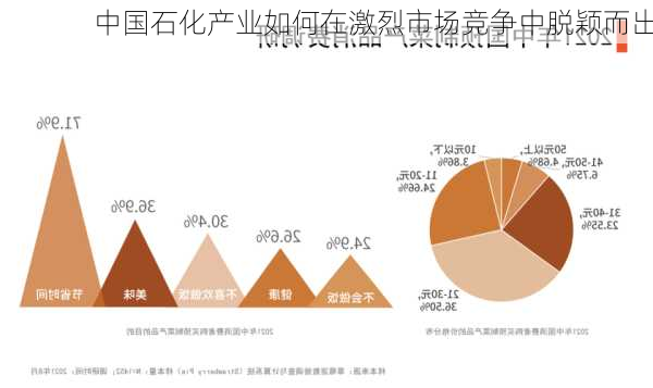 中国石化产业如何在激烈市场竞争中脱颖而出