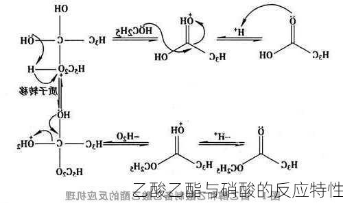 乙酸乙酯与硝酸的反应特性