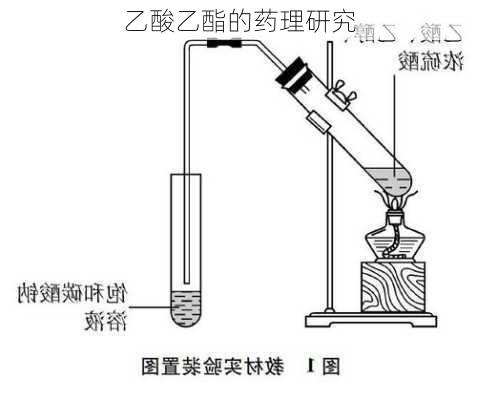 乙酸乙酯的药理研究