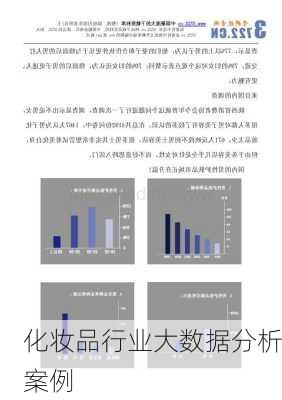 化妆品行业大数据分析案例