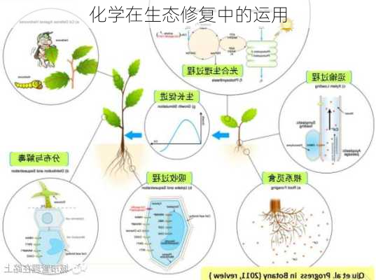 化学在生态修复中的运用