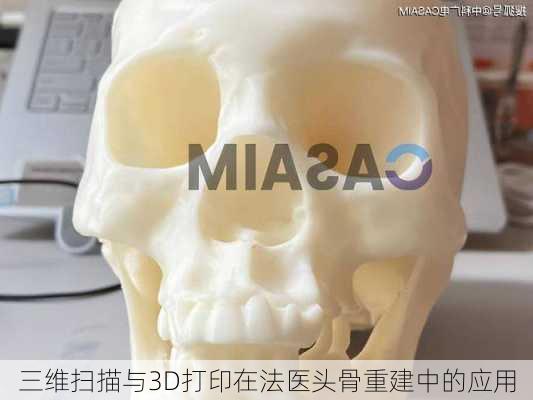 三维扫描与3D打印在法医头骨重建中的应用