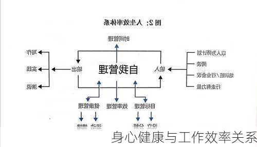 身心健康与工作效率关系