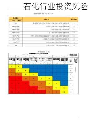 石化行业投资风险