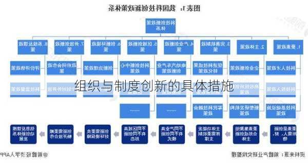 组织与制度创新的具体措施