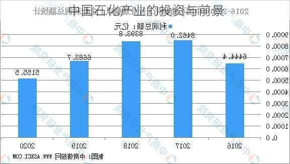 中国石化产业的投资与前景