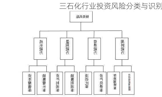 三石化行业投资风险分类与识别