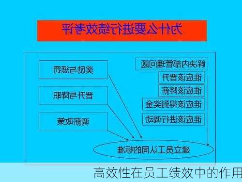 高效性在员工绩效中的作用