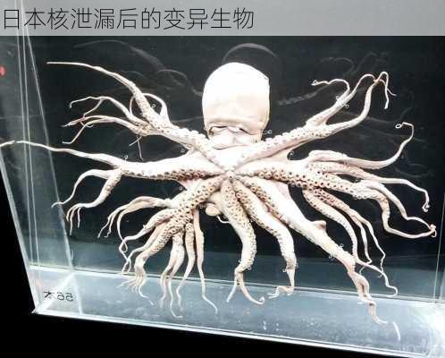 日本核泄漏后的变异生物