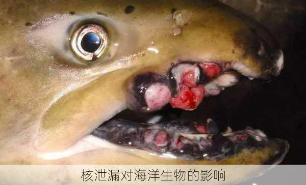 核泄漏对海洋生物的影响