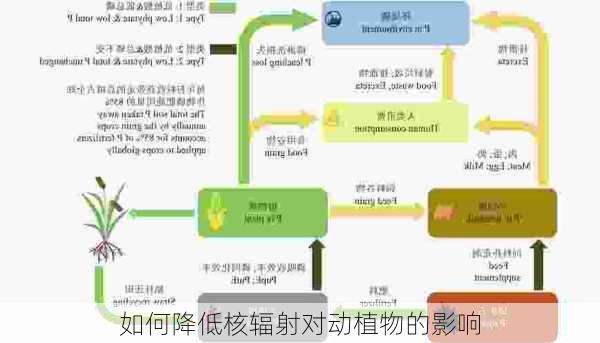 如何降低核辐射对动植物的影响