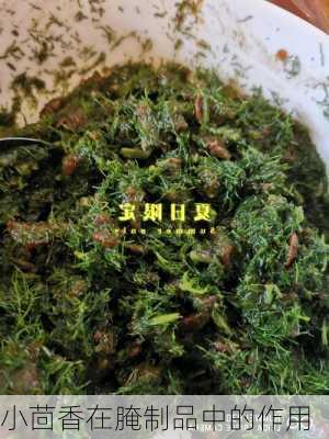 小茴香在腌制品中的作用