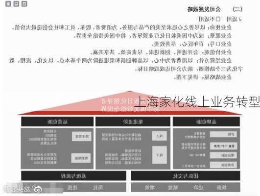 上海家化线上业务转型