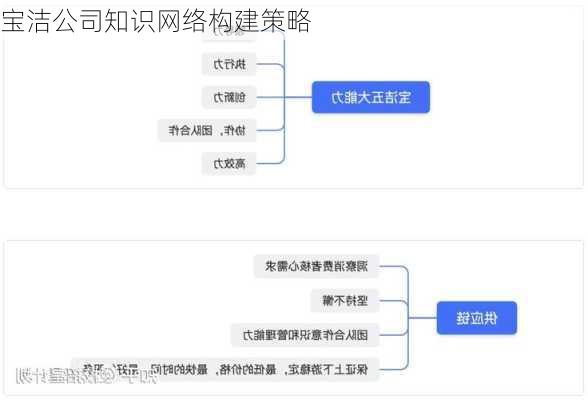 宝洁公司知识网络构建策略